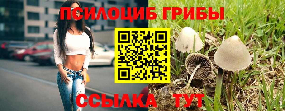 Галлюциногенные грибы Psilocybe  Вход с VPN  Томск 