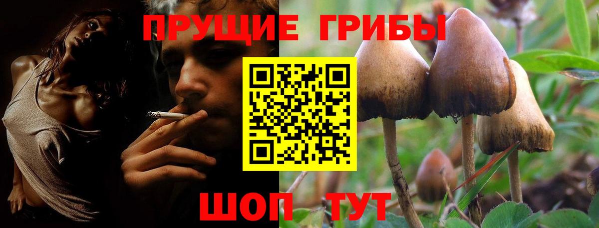 Псилоцибиновые грибы ЛСД Томск
